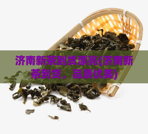 济南新茶到货漂亮(济南新茶到货,品质优美)