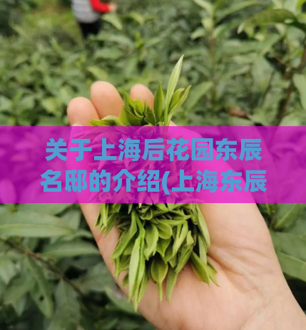 关于上海后花园东辰名邸的介绍(上海东辰名邸:城市中的绿洲)