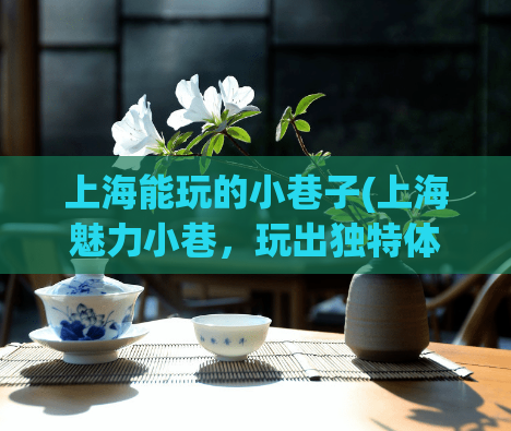 上海能玩的小巷子(上海魅力小巷,玩出独特体验!)