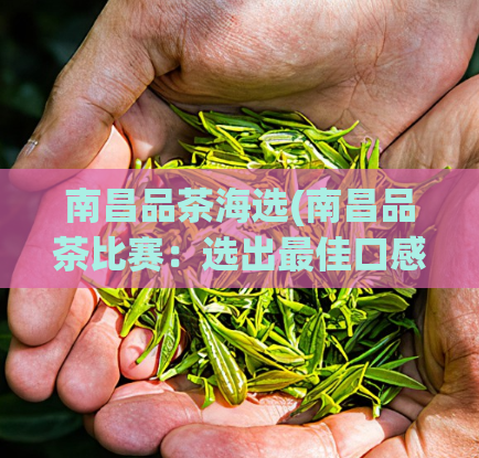 南昌品茶海选(南昌品茶比赛：选出最佳口感和香气的茶叶)