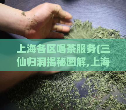 上海各区喝茶服务(三仙归洞揭秘图解,上海哪里有spa飞机)