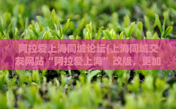 阿拉爱上海同城论坛(上海同城交友网站“阿拉爱上海”改版,更加安全方便)