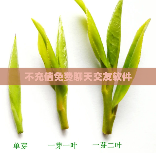 不充值免费聊天交友软件