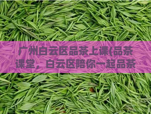 广州白云区品茶上课(品茶课堂，白云区陪你一起品茶)