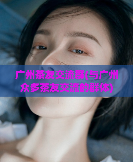 广州茶友交流群(与广州众多茶友交流的群体)