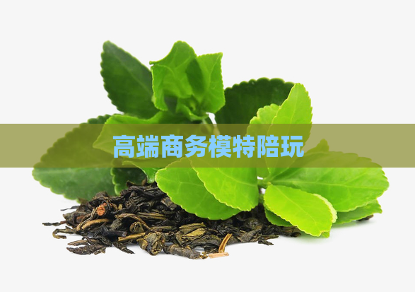 高端商务模特陪玩