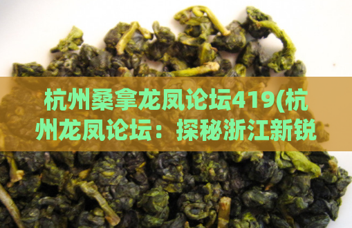 杭州桑拿龙凤论坛419(杭州龙凤论坛：探秘浙江新锐夜生活空间)