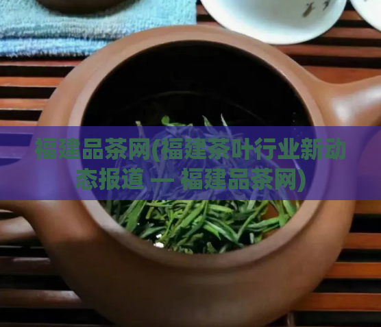 福建品茶网(福建茶叶行业新动态报道 — 福建品茶网)