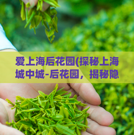 爱上海后花园(探秘上海城中城-后花园,揭秘隐秘的繁华世界)