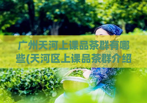 广州天河上课品茶群有哪些(天河区上课品茶群介绍,详细了解!)