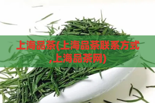 上海品茶(上海品茶联系方式,上海品茶网)