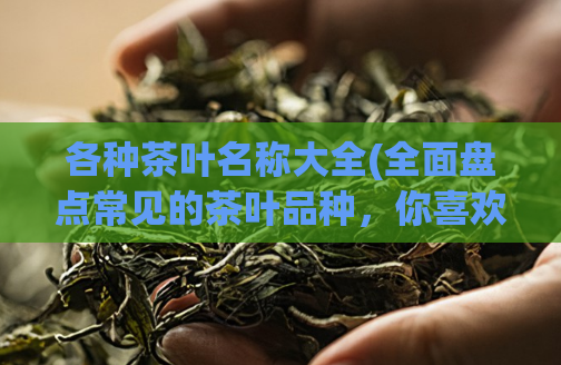 各种茶叶名称大全(全面盘点常见的茶叶品种，你喜欢哪一种？)