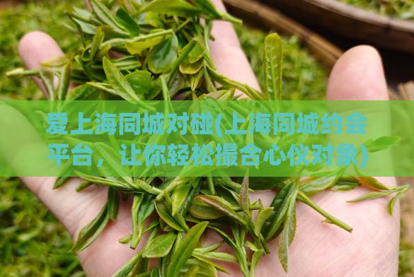 爱上海同城对碰(上海同城约会平台,让你轻松撮合心仪对象)