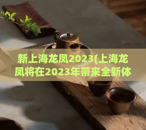 新上海龙凤2023(上海龙凤将在2023年带来全新体验，2023上海龙凤全新体验等你来！)