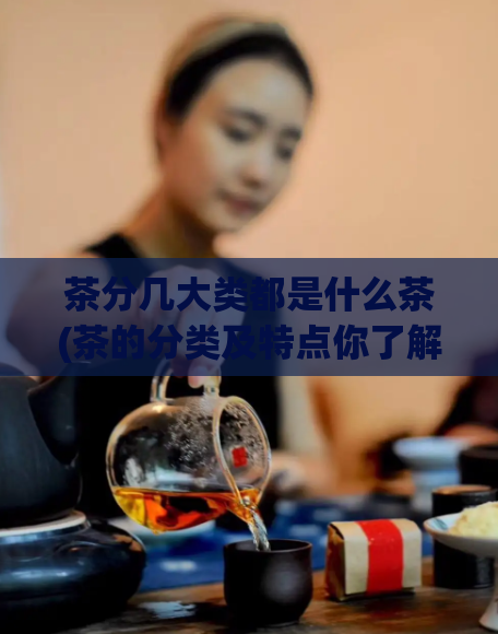 茶分几大类都是什么茶(茶的分类及特点你了解吗?)