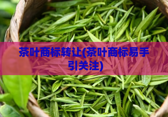 茶叶商标转让(茶叶商标易手 引关注)