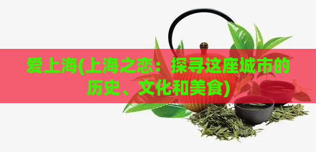爱上海(上海之恋:探寻这座城市的历史、文化和美食)