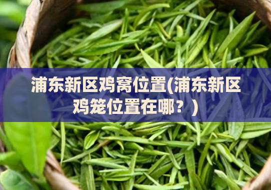浦东新区鸡窝位置(浦东新区鸡笼位置在哪?)