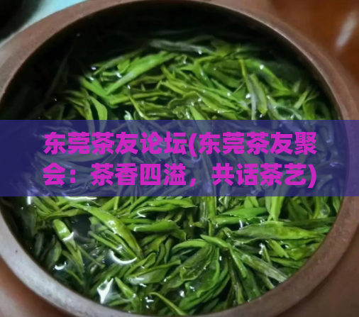 东莞茶友论坛(东莞茶友聚会：茶香四溢，共话茶艺)