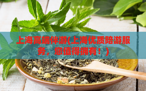 上海高端伴游(上海优质陪游服务,您值得拥有!)