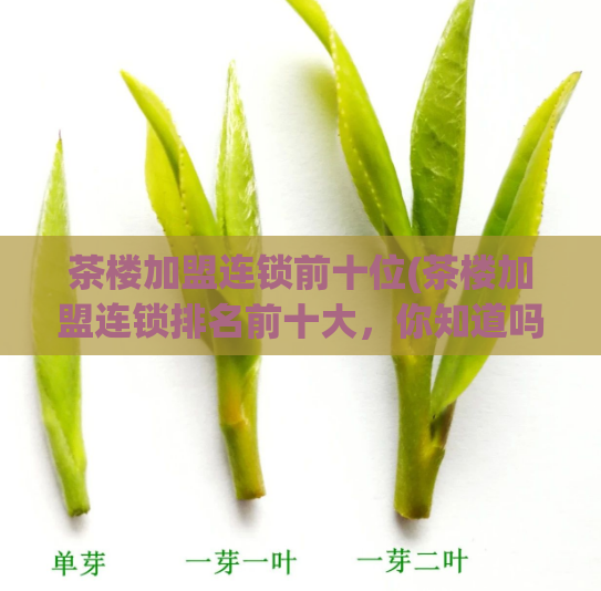 茶楼加盟连锁前十位(茶楼加盟连锁排名前十大，你知道吗？)