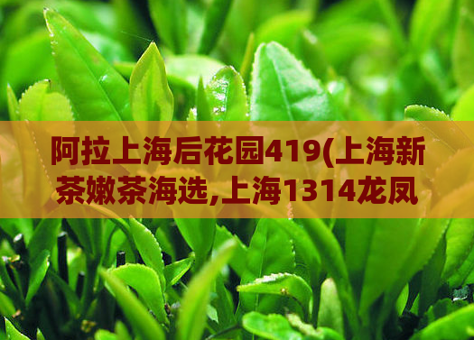 阿拉上海后花园419(上海新茶嫩茶海选,上海1314龙凤鲜花坊)