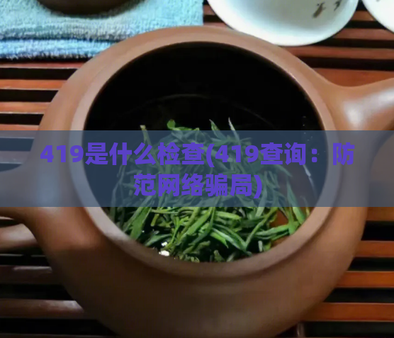 419是什么检查(419查询:防范网络骗局)