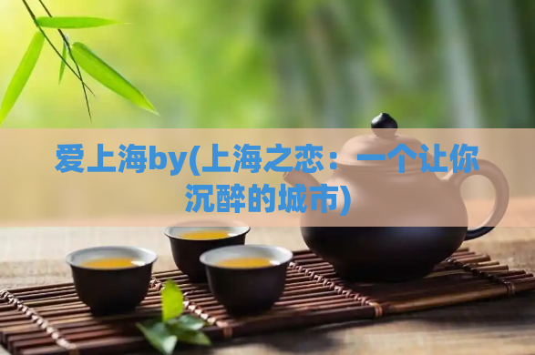 爱上海by(上海之恋：一个让你沉醉的城市)