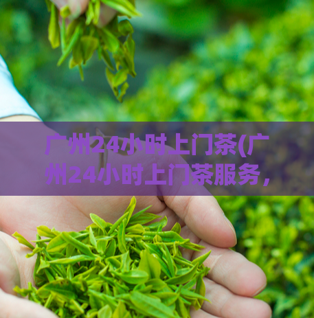 广州24小时上门茶(广州24小时上门茶服务,让您尽享品质特色私人订制的放松时光)