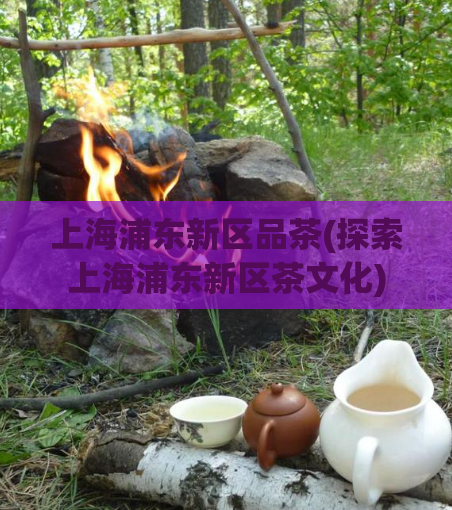 上海浦东新区品茶(探索上海浦东新区茶文化)