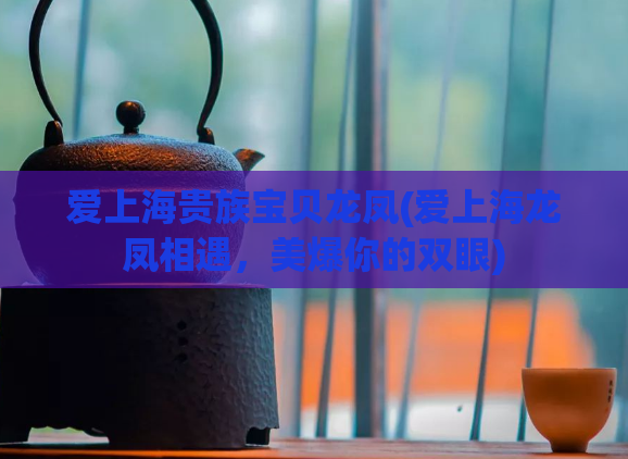 爱上海贵族宝贝龙凤(爱上海龙凤相遇,美爆你的双眼)