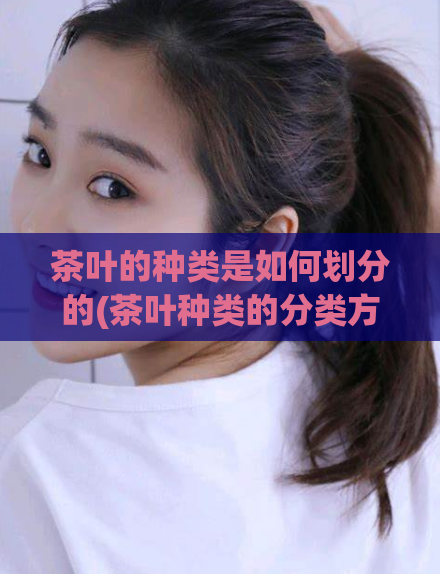 茶叶的种类是如何划分的(茶叶种类的分类方式是什么?)
