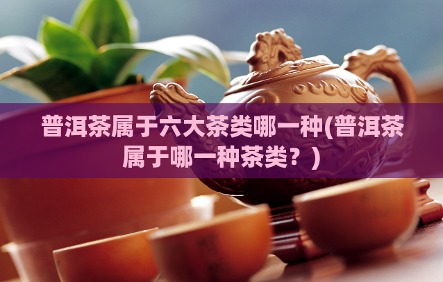 普洱茶属于六大茶类哪一种(普洱茶属于哪一种茶类?)