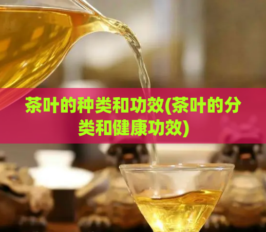 茶叶的种类和功效(茶叶的分类和健康功效)