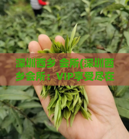 深圳西乡 会所(深圳西乡会所:VIP享受尽在其中)