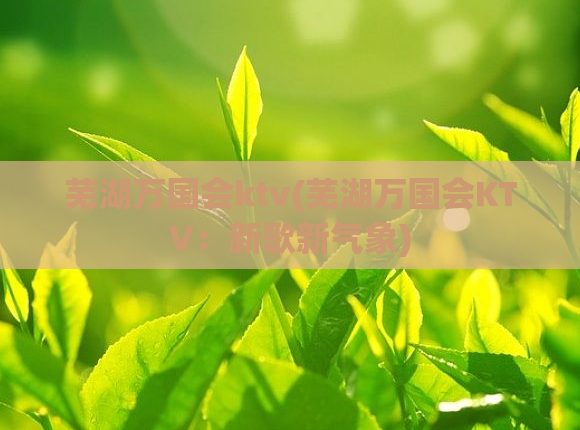 芜湖万国会ktv(芜湖万国会KTV:新歌新气象)