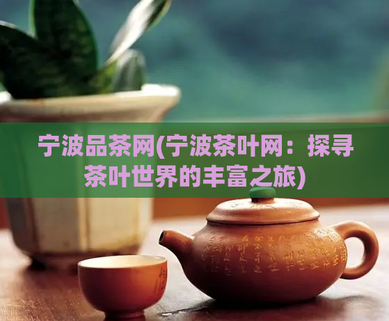 宁波品茶网(宁波茶叶网：探寻茶叶世界的丰富之旅)