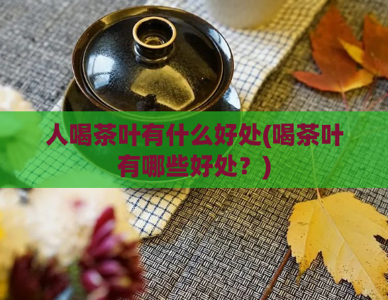 人喝茶叶有什么好处(喝茶叶有哪些好处?)