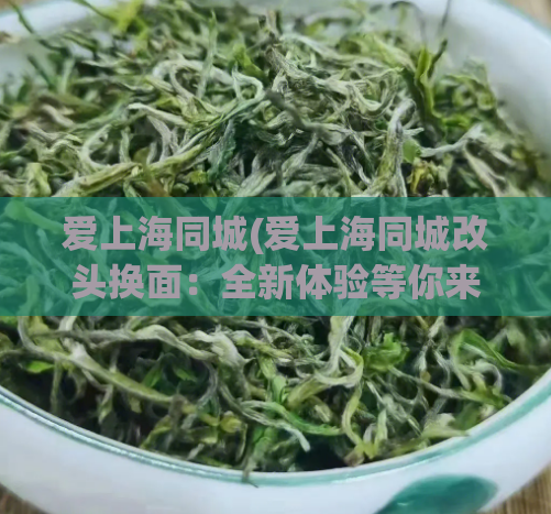 爱上海同城(爱上海同城改头换面:全新体验等你来!)