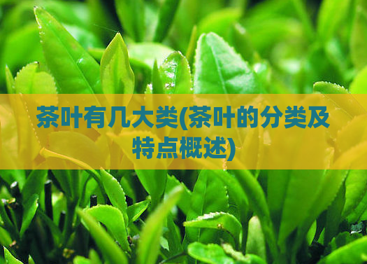 茶叶有几大类(茶叶的分类及特点概述)