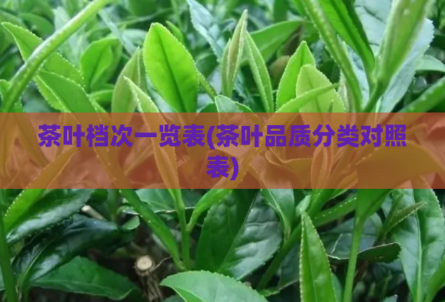 茶叶档次一览表(茶叶品质分类对照表)
