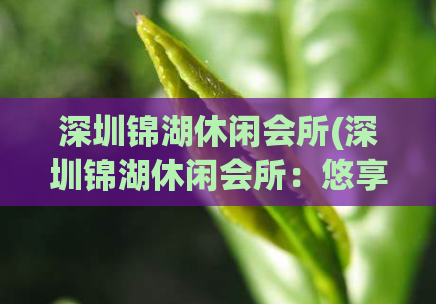 深圳锦湖休闲会所(深圳锦湖休闲会所：悠享绿色环境的绝佳休闲场所)