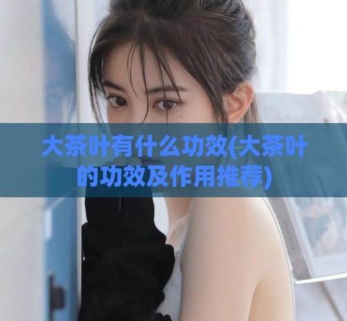 大茶叶有什么功效(大茶叶的功效及作用推荐)