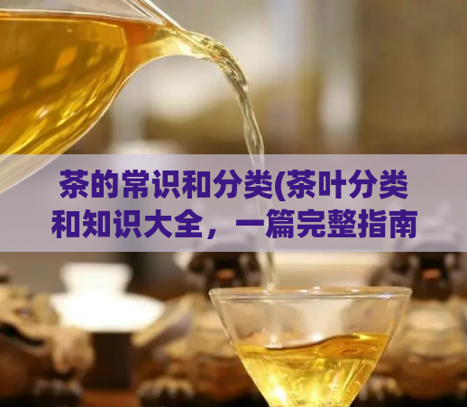 茶的常识和分类(茶叶分类和知识大全，一篇完整指南)