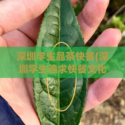 深圳学生品茶快餐(深圳学生追求快餐文化的品茶方式重构)