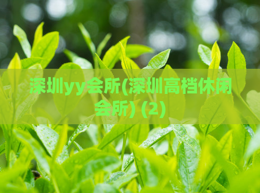 深圳yy会所(深圳高档休闲会所) (2)
