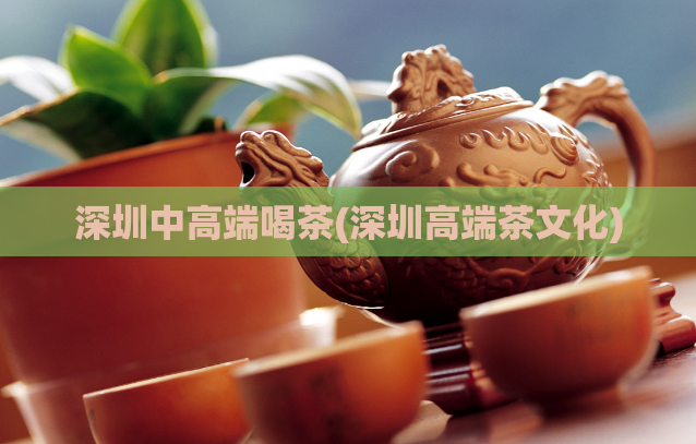 深圳中高端喝茶(深圳高端茶文化)