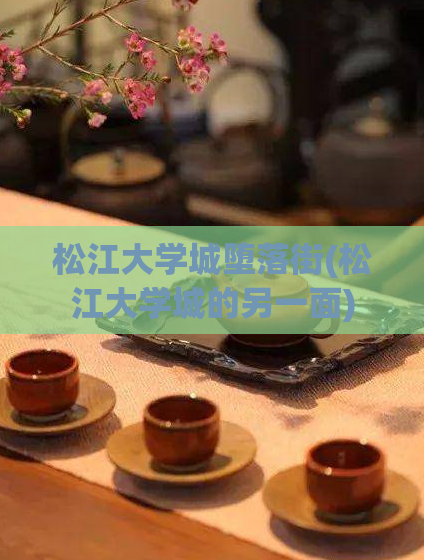 松江大学城堕落街(松江大学城的另一面)