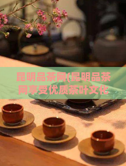 昆明品茶网(昆明品茶网享受优质茶叶文化)