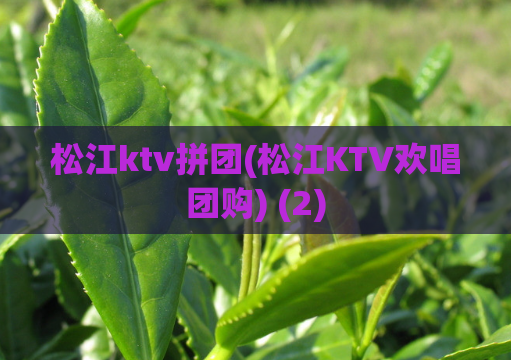 松江ktv拼团(松江KTV欢唱团购) (2)